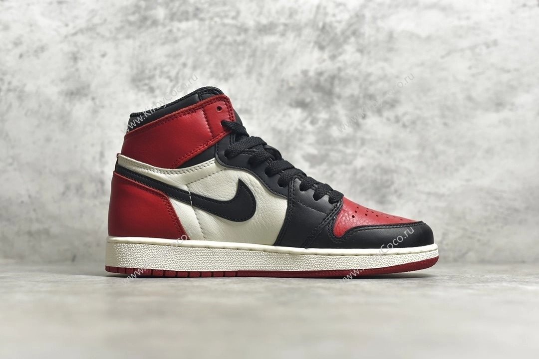 Air Jordan 1 Retro Bred Toe (6515-cp) - Image 3
