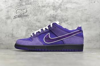 Concepts x NK SB Dunk Low (5805-cp)