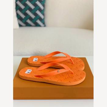 Louis Vuitton flip flops (1360-kb)